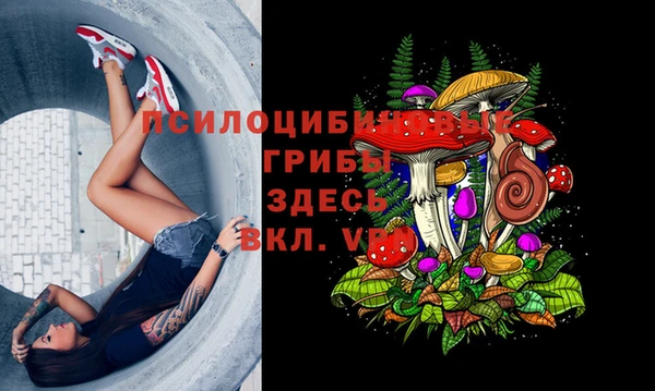 мет Дмитровск
