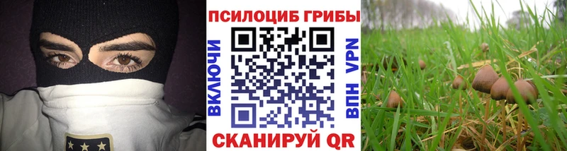 Псилоцибиновые грибы GOLDEN TEACHER  наркошоп  Уржум 